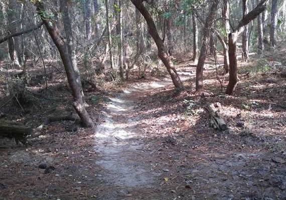 Oct 18 – 34+ mile UWF trails – Marathon #9