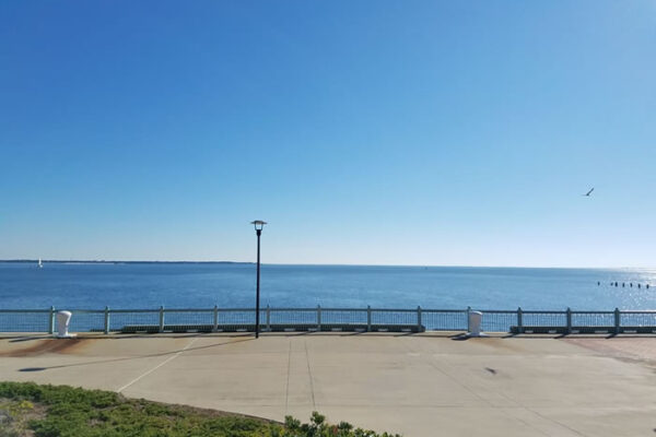 Life Versus Training