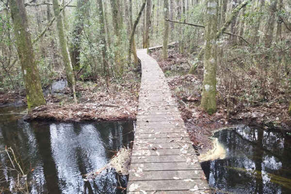 Sweeping The 2018 Blackwater 50k