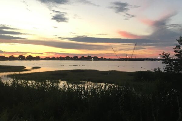 Training for the Marine Corps Marathon