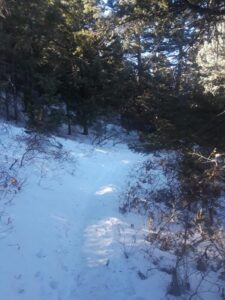RoxboroughStatePark-running7-600×800