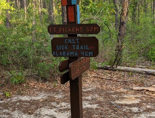 50 Miler to FL/AL State Line