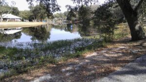 running-away-from-cancer-WaterviewEstates-FishingSpots