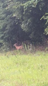 IMG_20200604_140444_MP