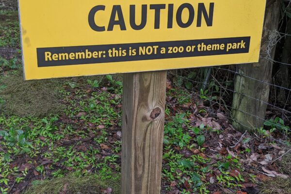 Gator Run to La Chua Trail