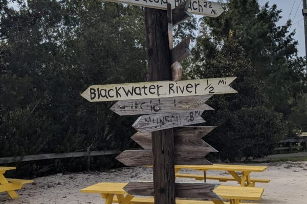 26.2 Training Run on Milton Heritage Trail