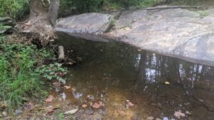 IMG_20200912_082634