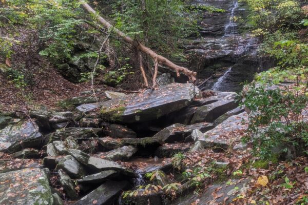 Pinhoti 100 – More precise distance of 74.62 miles