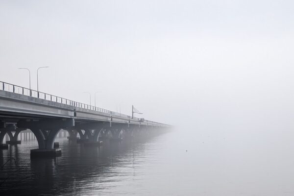 Foggy Run Today – Training for Long Haul 100