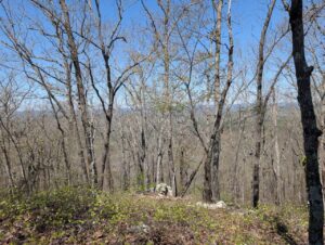oak-mountain-50k-ultramarathon-mountain-view